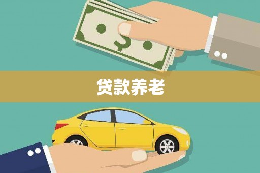 洛川贷款养老
