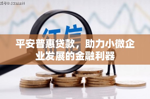 洛川平安普惠贷款，助力小微企业发展的金融利器