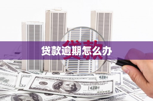 洛川贷款逾期怎么办