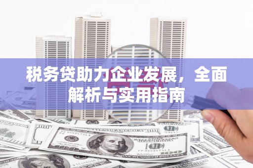 洛川税务贷助力企业发展，全面解析与实用指南