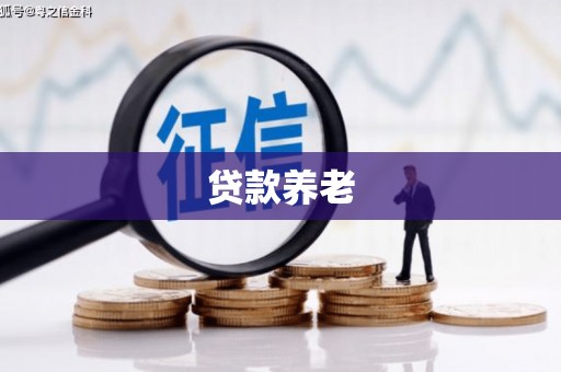 洛川贷款养老