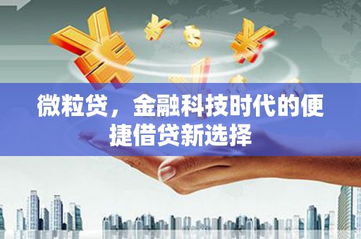 洛川微粒贷，金融科技时代的便捷借贷新选择