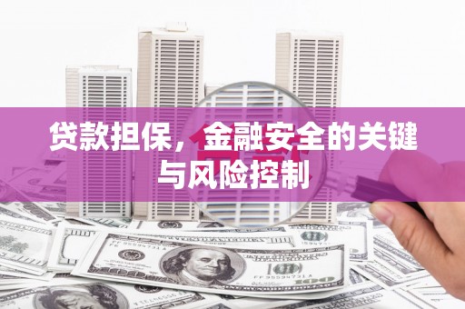 洛川贷款担保，金融安全的关键与风险控制