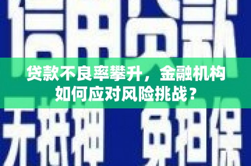 洛川贷款不良率攀升，金融机构如何应对风险挑战？