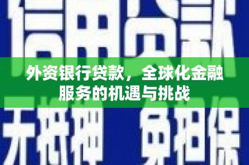 洛川外资银行贷款，全球化金融服务的机遇与挑战
