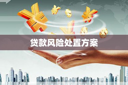 洛川贷款风险处置方案