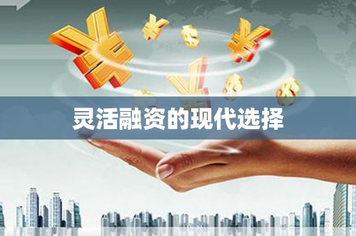 洛川灵活融资的现代选择