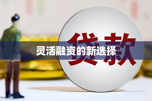 洛川灵活融资的新选择