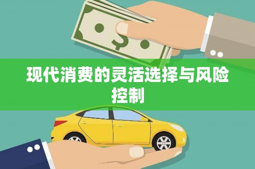 洛川现代消费的灵活选择与风险控制