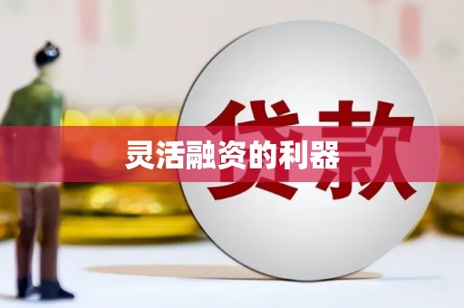 洛川灵活融资的利器