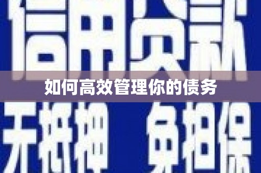 洛川如何高效管理你的债务