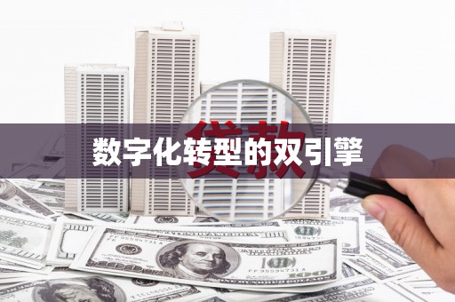 洛川数字化转型的双引擎