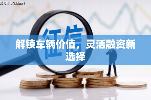 洛川解锁车辆价值，灵活融资新选择