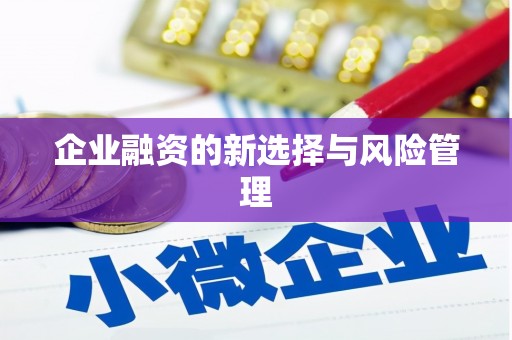 洛川企业融资的新选择与风险管理
