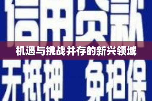 洛川机遇与挑战并存的新兴领域