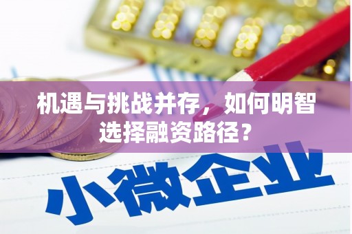 洛川机遇与挑战并存，如何明智选择融资路径？