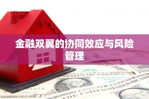 洛川金融双翼的协同效应与风险管理
